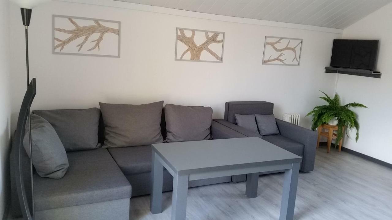 Domek Pod Brzozami Świnna Exterior foto